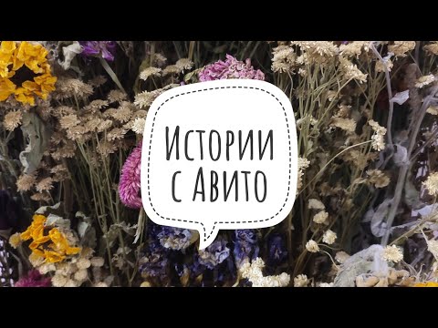 Видео: Истории с Авито. Часть 1