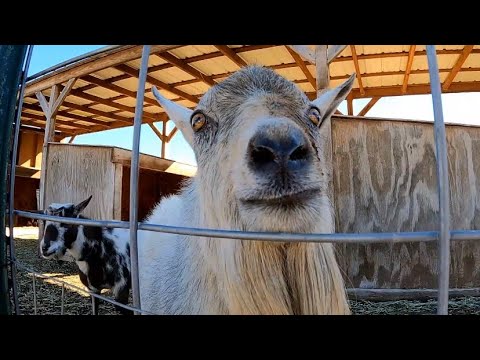 Видео: Вы заслуживаете этого!