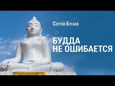 Видео: Будда не ошибается. Ценность беседы с учителем.