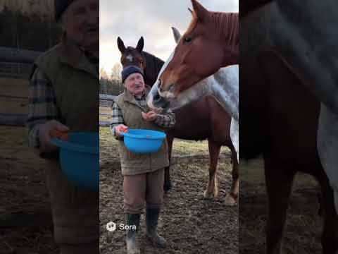 Видео: Які кобили #sora #прикол #дідусь