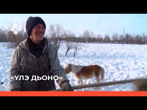 Видео: «Үлэ дьоно»  (08.04.22)