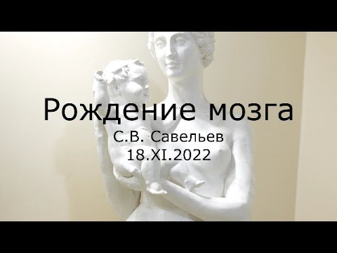 Видео: С.В. Савельев - Рождение мозга