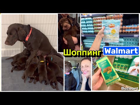 Видео: США Влог Хочу оставить это | Дубайский шоколад $15 | Семейный Влог USA VLOG