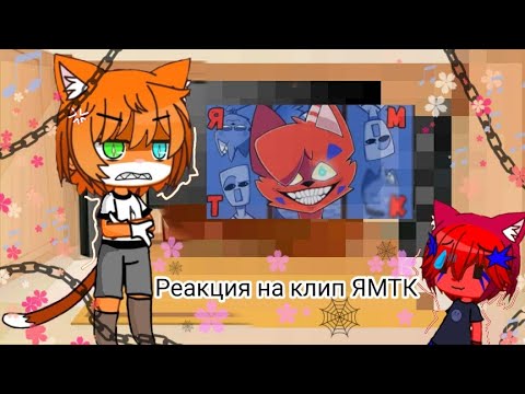 Видео: Реакция разноцветных котов на клип ЯМТК