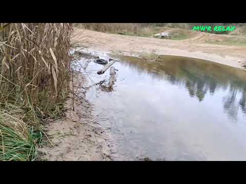 Видео: НА РЫБАЛКУ. ШАРАПОВСКИЕ ПРУДЫ. 9 НОЯБРЯ