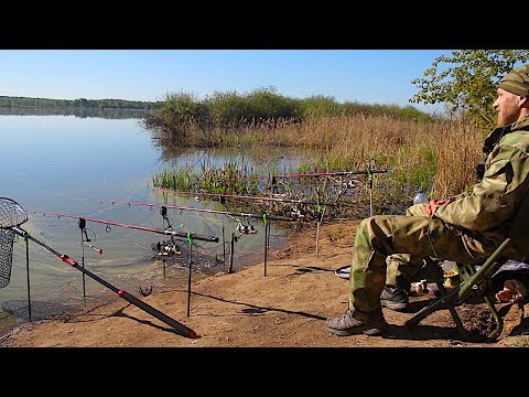 Видео: Рыбалка с Ночёвкой. Закидушки(донки)Крупный карась на Чеснок.Суп Кондей.Красота!