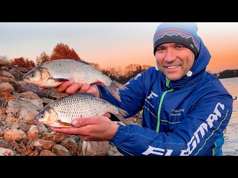 Видео: Рыбалка на фидер осенью / Наловили плотвы / Как найти место ловли/  Рыбалка 2021 #70 выпуск