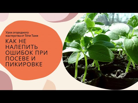 Видео: 824. Не делайте того, чего не надо...