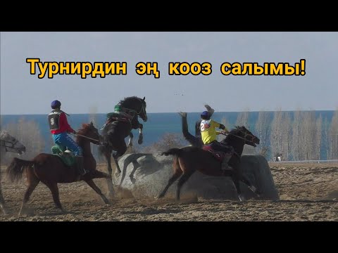 Видео: Турнирдин эң кооз салымы🔥 Мындай салым болгон эмес. Жети-Өгүздүн оюнчусу