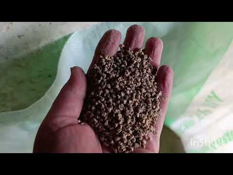 Видео: ЛУЧШИЙ КОМБИКОРМ ДЛЯ КУР НЕСУШЕК И МОЛОДНЯКА //НОВЫЕ ЗАКОНЫ О СОДЕРЖАНИЕ ПТИЦЫ в домашних условиях .