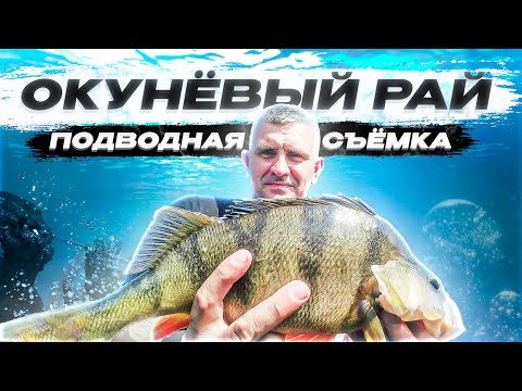 Видео: Окуни гиганты. Рыбалка на горной реке с ночевкой. Ямал. Заполярье.