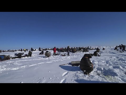 Видео: На море за зубатой корюшкой. Народ открыл сезон зубаря