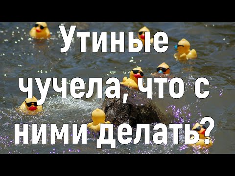 Видео: Охота на утку на воде с чучелами. Часть 1.