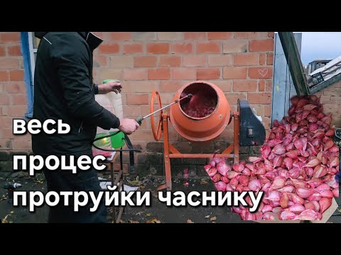 Видео: Підготовка часнику до посадки 2025 Протруйники, стимулятори, вода – повна схема Власний досвід