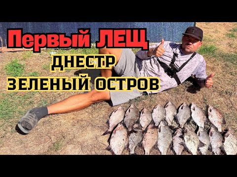 Видео: Днестр, Зеленый остров. Большой улов Леща. #fishing#рыбалка#рыбалканафидер#днестр 