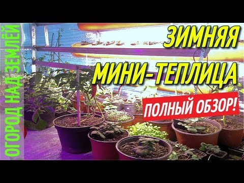 Видео: МОЯ ЗИМНЯЯ МИНИ-ТЕПЛИЦА/ПОЛНЫЙ ОБЗОР!!!/ФИТОЛАМПЫ ОТ МИНИФЕРМЕР.