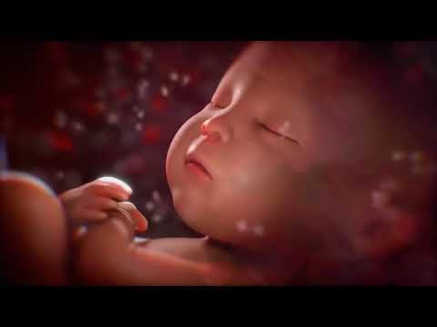 Видео: Звуки в утробе матери для сна малыша. Sounds in the womb To calm and sleep the baby.
