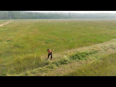 Видео: Тааттаҕа «Күүлэй 2023» өрөспүүбүлүкэтээҕи күрэххэ хотуурдар тыаһаатылар