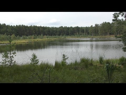 Видео: Святое озеро на Хмельнитчине. Легенды и загадочность