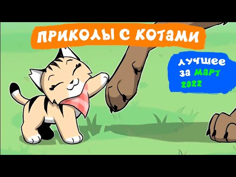 Видео: Приколы с котами. ЛУЧШЕЕ ЗА МАРТ 2022 | Мемозг