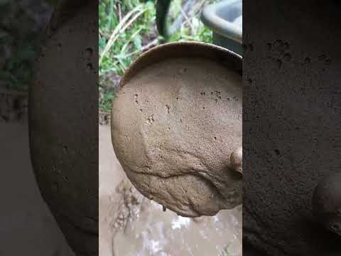 Видео: абиссинская скважина с низкой статикой