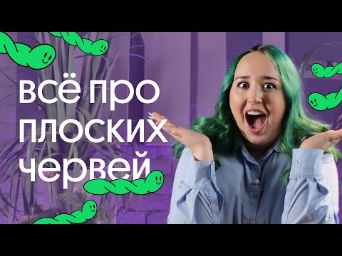 Видео: ВСЁ ПРО ПЛОСКИХ ЧЕРВЕЙ ДЛЯ ОГЭ ПО БИОЛОГИИ 2023!