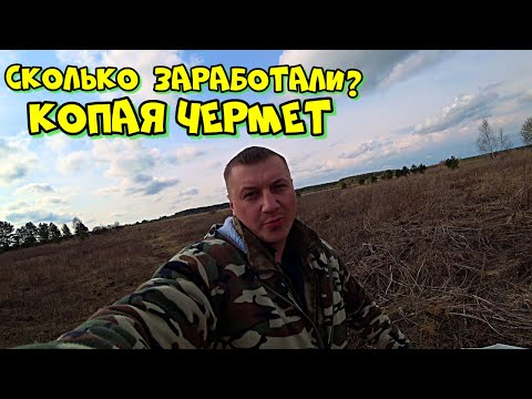Видео: Сколько  можно заработать на чермете за 3 часа?Сдали металл на приемке...и обалдели!!!