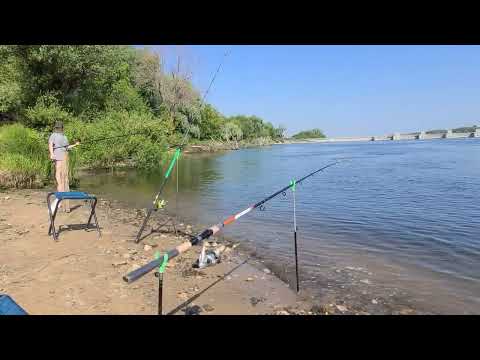 Видео: Белоомут, река Ока