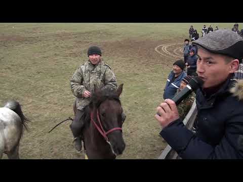 Видео: 16,01,19 көкпар Темірлан || Шымкент