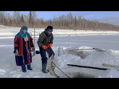 Видео: Река Сыня - дорога жизни рыбаков | Тут султам