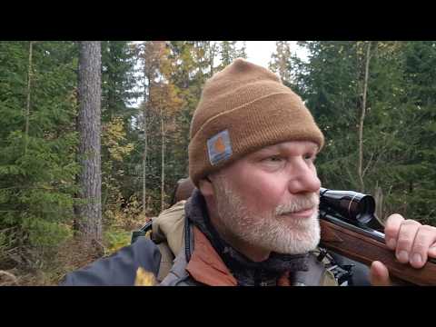 Видео: Охота на лося в Бастфалле - 2025 - Охота на лося