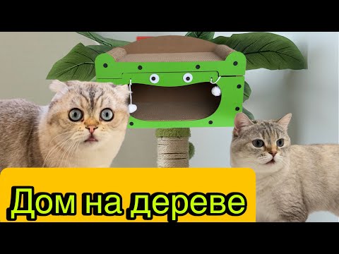 Видео: Дом на дереве. Часть 2,3