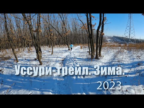 Видео: Как я бегал "Уссури-трейл. Зима"