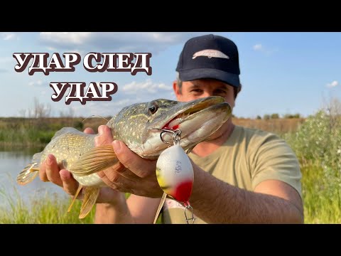 Видео: Удар след Удар! Спининг Риболов на Щуки / Bite after Bite! Spinning Fishing for Pike