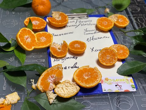 Видео: Самая вкусная группа  мандаринов!!! 😉🍊🎄Новым Годом запахло!!!! 😉😁