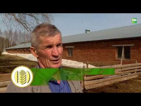 Видео: Туган җир 16/04/2021