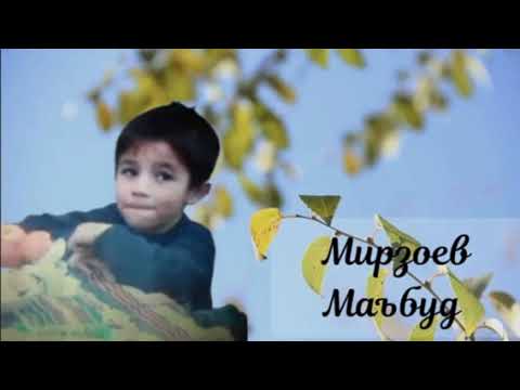 Видео: Шеър аз Иброҳими Мирмуҳаммад.