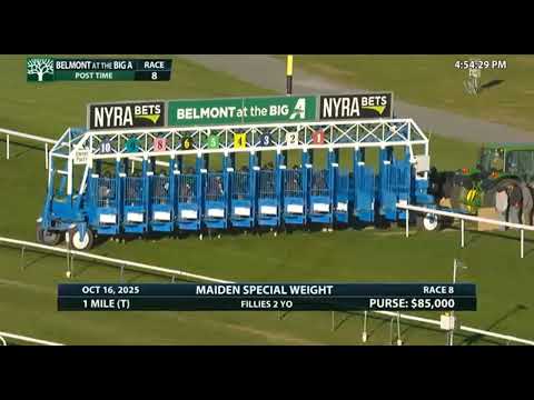 Видео: R8 Belmont в Большом А 16 октября 2025 года