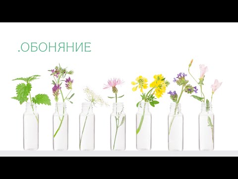 Видео: Обоняние