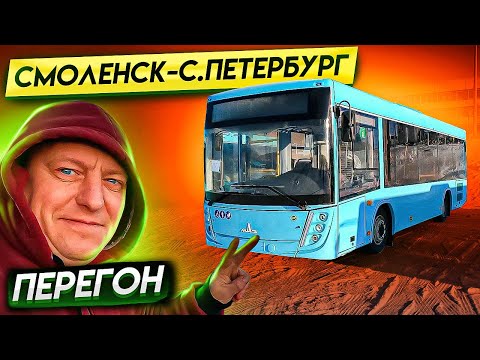 Видео: Перегон Автобуса Смоленск-Санкт-Петербург