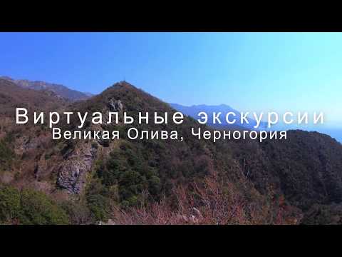 Видео: Старая олива, Бечичи, виртуальная экскурсия в Черногории