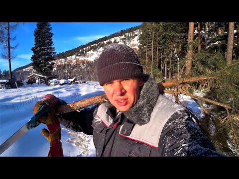 Видео: Новогодний выпуск