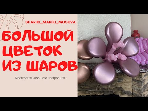 Видео: Большой цветок из шариков
