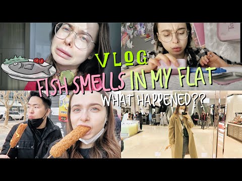 Видео: Проблемы с Соседями Посреди Ночи! Самый Теплый Зимний День в Корее