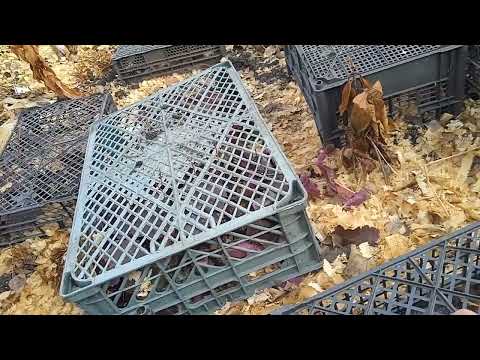 Видео: ОТВЕТ  НА  ВОПРОС - ЧТО  УКРЫТО  ПОД  ЯЩИКАМИ? 