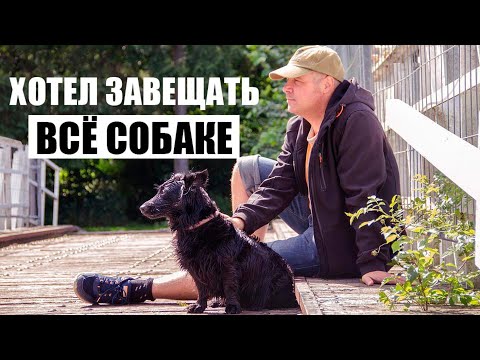 Видео: Хотел завещать всё собаке – не дали юристы! / Что делать если получил наследство? / Советы юриста