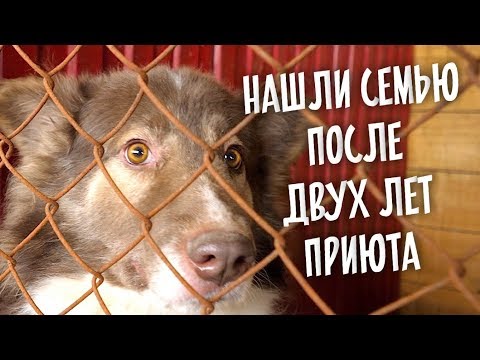 Видео: Нашли семью после двух лет в приюте.