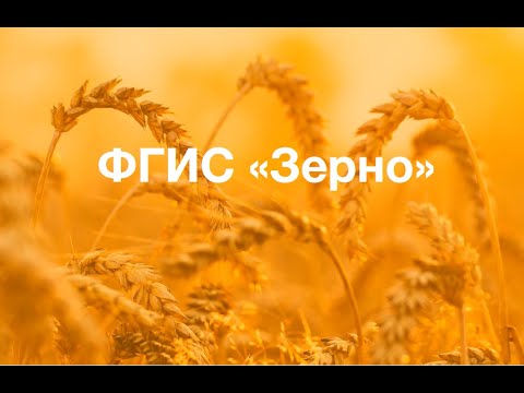 Видео: ФГИС «Зерно»