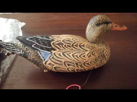 Видео: Видео отзыв о чучелах уток Softplast