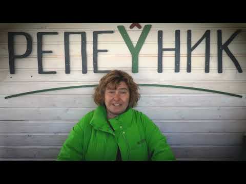 Видео: Мятная Одиссея или как мята изменила нашу жизнь.